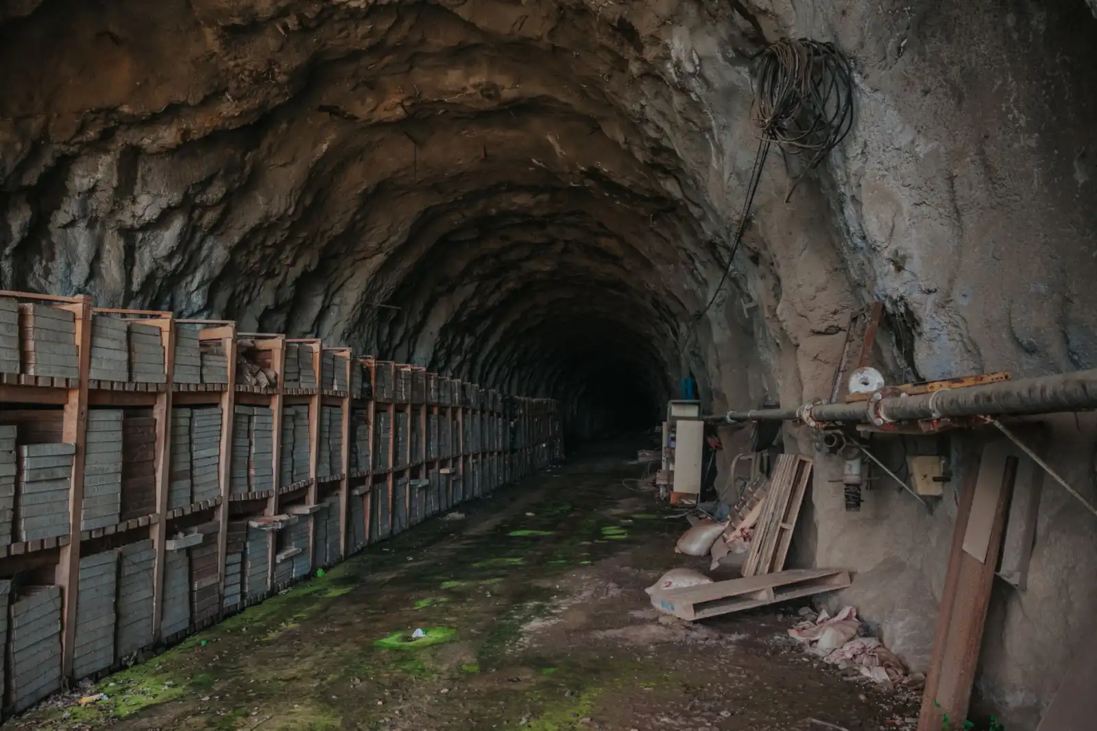 2024年企业组织变革趋势与绩效体系优化实践指南