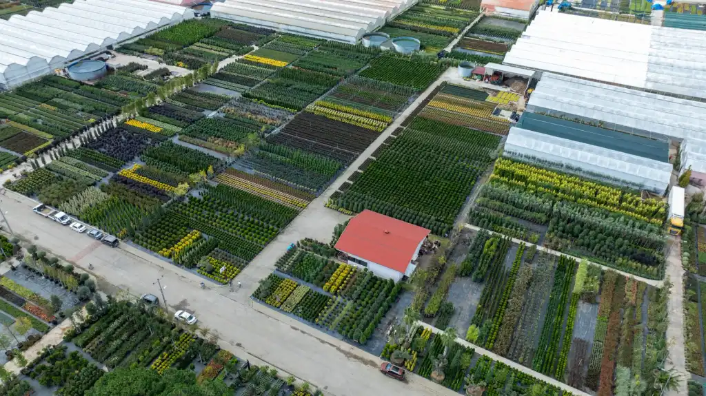 企业绩效咨询体系搭建指南：从管理诊断到绩效优化的完整路径