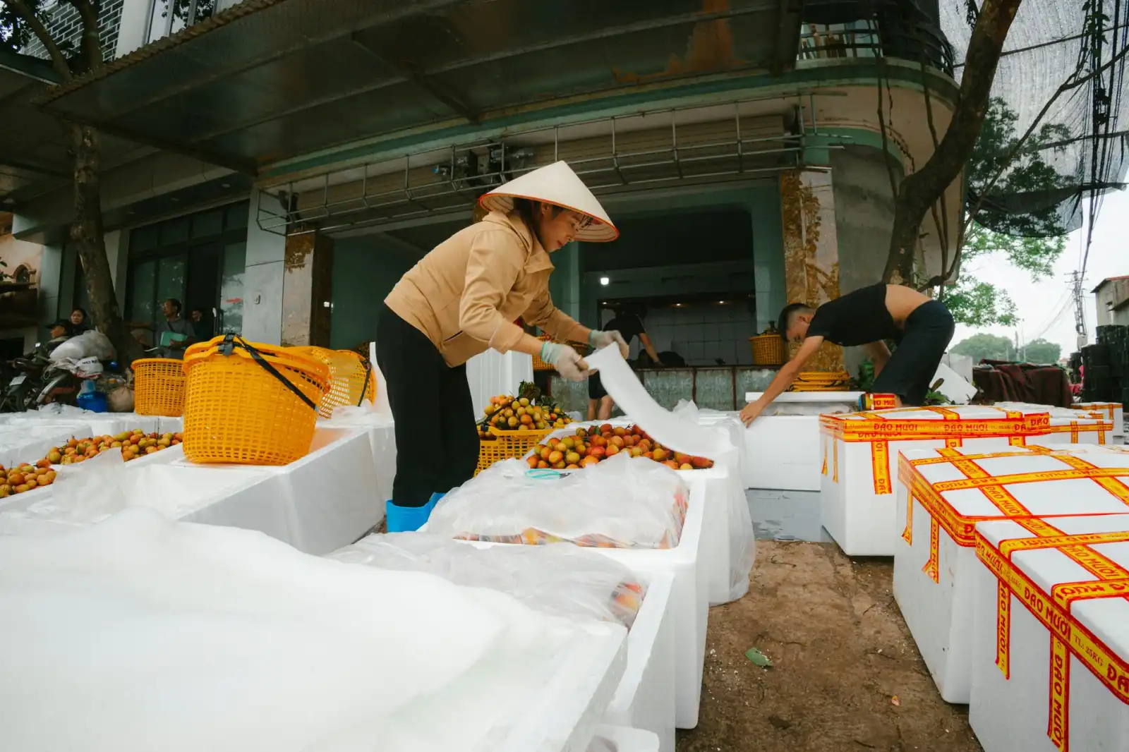 制造业企业战略规划落地：从组织诊断到效能提升全流程指南