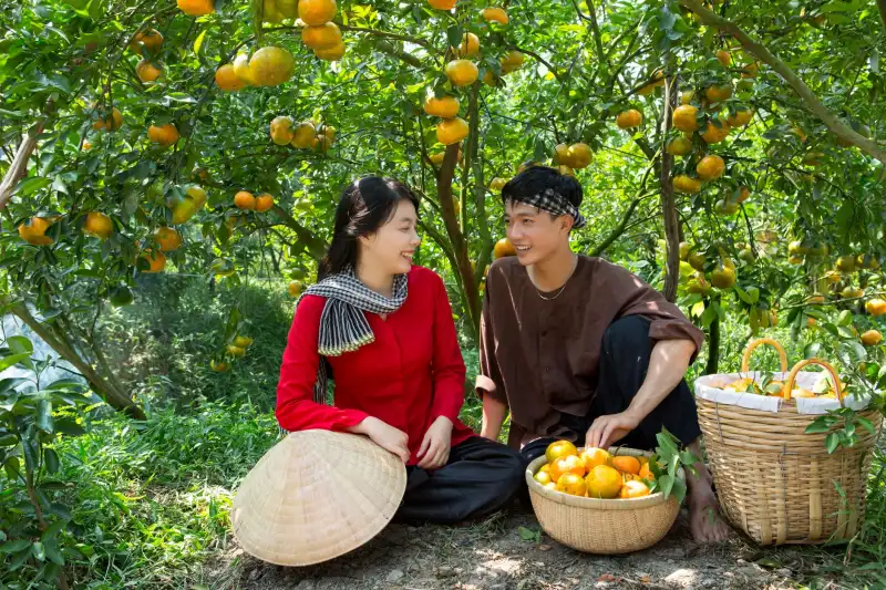企业管理咨询服务如何通过战略规划与组织变革提升组织效能