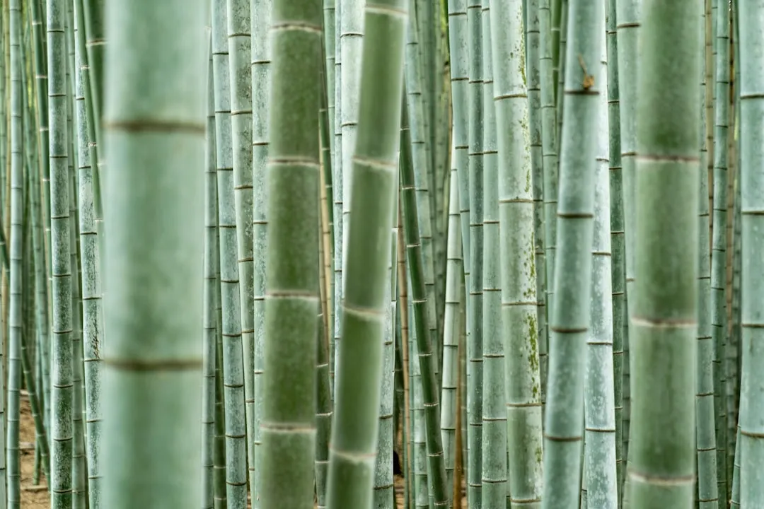 企业管理诊断与组织变革咨询:中小企业效能提升的实战路径