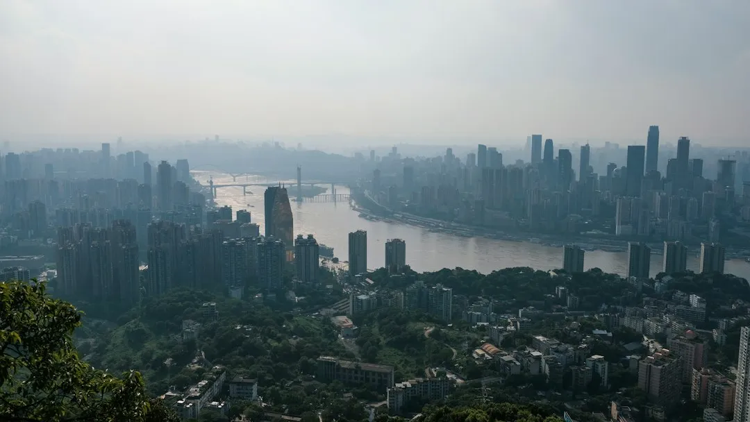 2025年企业管理战略规划新趋势：组织变革与绩效咨询的协同路径